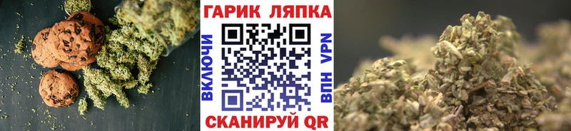 Купить где  Киреевск  Canna-Cookies конопля 