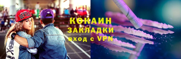 хмурый Гусь-Хрустальный