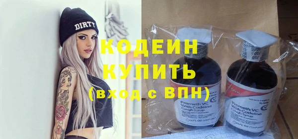 хмурый Гусь-Хрустальный