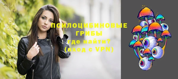 mix Гусиноозёрск
