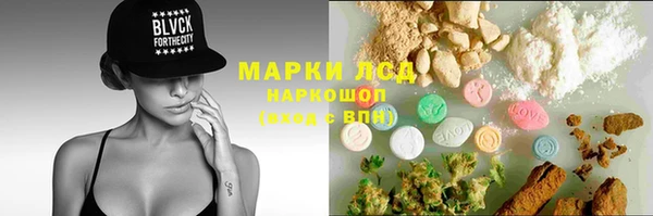 хмурый Гусь-Хрустальный