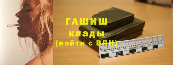 хмурый Гусь-Хрустальный