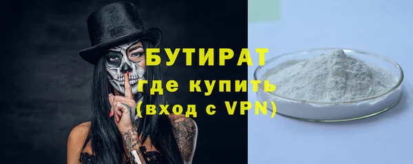 хмурый Гусь-Хрустальный
