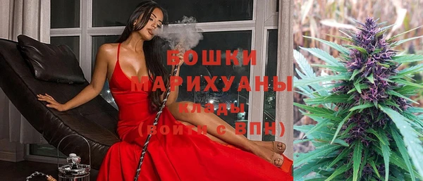хмурый Гусь-Хрустальный