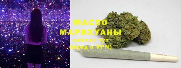 хмурый Гусь-Хрустальный