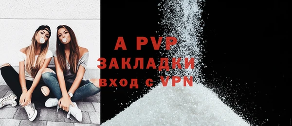 хмурый Гусь-Хрустальный