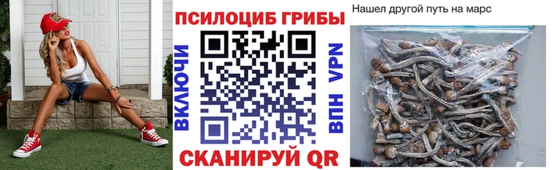 Галлюциногенные грибы Cubensis  Купить где  Киреевск 